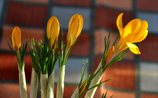395354 (a): :2560x1600